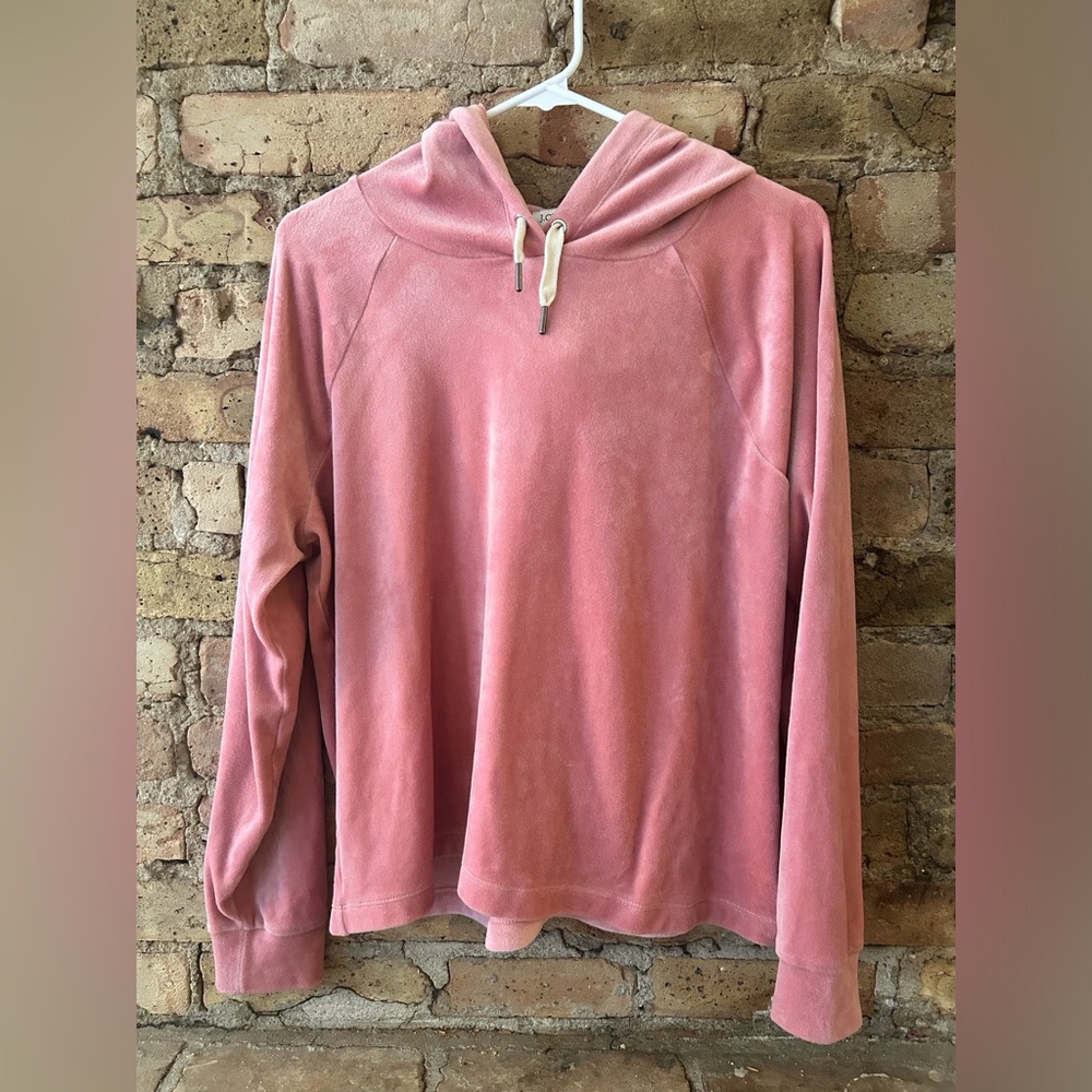 J. Crew Factory Velour Hoodie